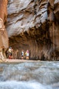 Hikers and trekkers in The Narrows trail on The Virgin River Royalty Free Stock Photo