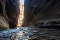 Hikers and trekkers in The Narrows trail on The Virgin River in Zion National Park Royalty Free Stock Photo