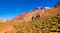 Hikers trekking in the Andes, Argentina, South America Royalty Free Stock Photo