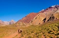 Hikers trekking in the Andes, Argentina, South America Royalty Free Stock Photo