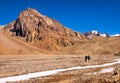 Hikers trekking in the Andes, South America Royalty Free Stock Photo