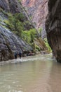 dramatic and tranquil landscape image taken in the Narrows on Zion national park. Its the Virgin River r in the park. Royalty Free Stock Photo