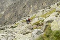 Hikers trekking in high mountains Royalty Free Stock Photo