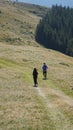 Hikers trekking through a mountain landscape with backpacks