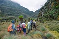 Hikers in the Bujuku Valley, Rwenzori Mountains, Uganda Royalty Free Stock Photo