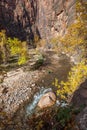 Hikers in the Virgin River at The Narrows Royalty Free Stock Photo