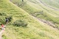 Hikers walk along a green mountain path in summer