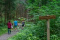 Hikers walk through the dense and lush foliage of Arrowhead park, Ontario, Canada