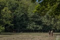 Hikers walk immersed in the nature of the Acquerino Cantagallo nature reserve, Italy, while a woman sunbathes on a sunbed