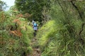 Hikers walking along a trail deep in the woods of Etna Park Royalty Free Stock Photo