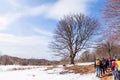 Hikers walking on beautiful winter day. Nature landscape