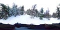 Hikers Walking in Deep winter forest - 360 Virtual Reality First Person View