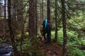 Hikers walking on forest trail with camping backpacks. outdoors trekking on mountain