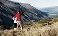 Hikers Walking Mountain Adventure Leisure Concept