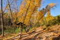 Hikers walking in the recreational area Raco Sant Bonaventura. Royalty Free Stock Photo