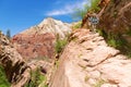 Hikers in Zion Royalty Free Stock Photo