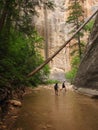 Hikers in Zion Royalty Free Stock Photo