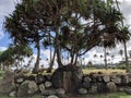 Hikinaakala Heiau Royalty Free Stock Photo