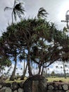 Hikinaakala Heiau