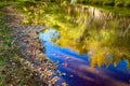 Hiking along the East Verde River and viewing the amazing colors  Payson Arizona Royalty Free Stock Photo