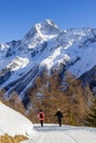 Hiking along the elevated path in the LÃÂ¶tschental valley