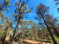 Wilpena Pound St Mary`s Peak Hike