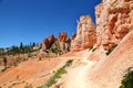 Hiking along the Tower Bridge Trail in Bryce Canyon National Park Royalty Free Stock Photo
