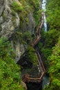 Hiking along a woodend boardwalk in a canyon near Kaprun, Austria Royalty Free Stock Photo