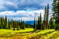 Hiking trails on Tod Mountain near the village of Sun Peaks of British Columbia, Canada