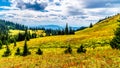 Hiking trails on Tod Mountain near the village of Sun Peaks of British Columbia, Canada