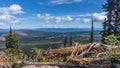 Hiking through alpine meadows and fallen trees