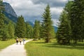 Hiking in Alpine valley