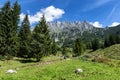 Hiking in the Alps on a sunny day. Wilder Kaiser chain near Wochenbrunner Alm,Tyrol, Austria Royalty Free Stock Photo