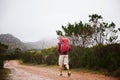 Hiking, back view and man with walk outdoor for travel, backpack and nature for fresh air and fitness. Trekking Royalty Free Stock Photo