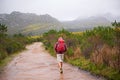 Hiking, back view and man with walking outdoor for travel, backpack and nature for fresh air and fitness. Trekking Royalty Free Stock Photo