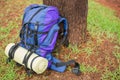 An hiking backpack leaning on a tree