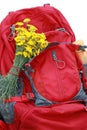 Hiking backpack, yellow daisies