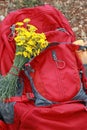 Hiking backpack, yellow daisies