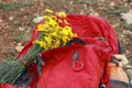 Hiking backpack, yellow daisies