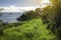 Hiking on the beautiful coast of Doubtless Bay in the Far North of New Zealand