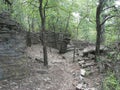 Hiking the beautiful Texas trails