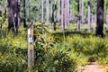 Hiking the Beautiful Trails of Florida State Parks