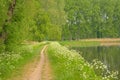 Hiking trail along Moervaart canal in the Flemish countryside Royalty Free Stock Photo