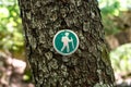HIking Blaze On Tree In Acadia Royalty Free Stock Photo