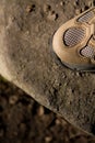 Hiking Boot Royalty Free Stock Photo