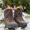 Hiking boots with flowers in the mountains Royalty Free Stock Photo