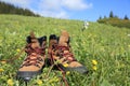 Hiking boots on green grassland Royalty Free Stock Photo