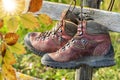 hiking boots hanging on a bench in autumn.