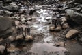 hiking boots leaving muddy footprints on rocks