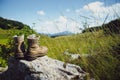 Hiking Boots Royalty Free Stock Photo